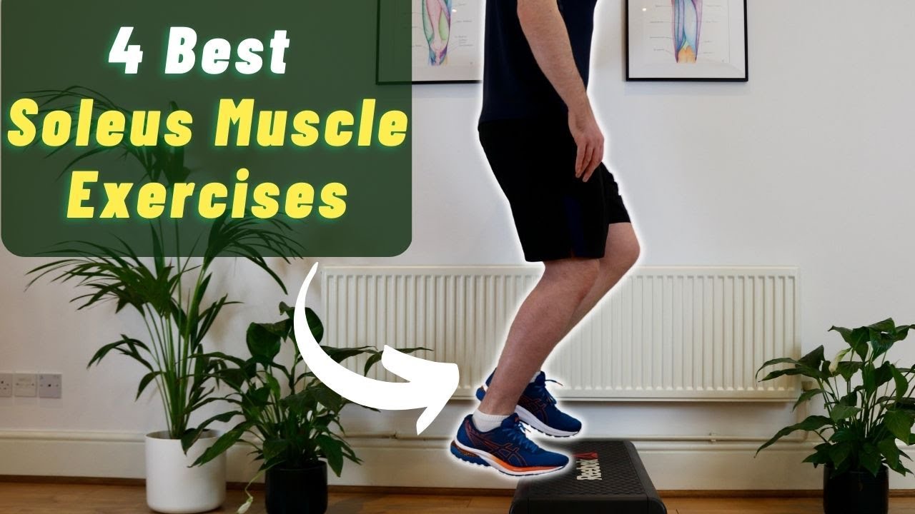 Soleus Muscle Exercises | Soleus Tear Exercises | Soleus Muscle Pain Exercises for Runners