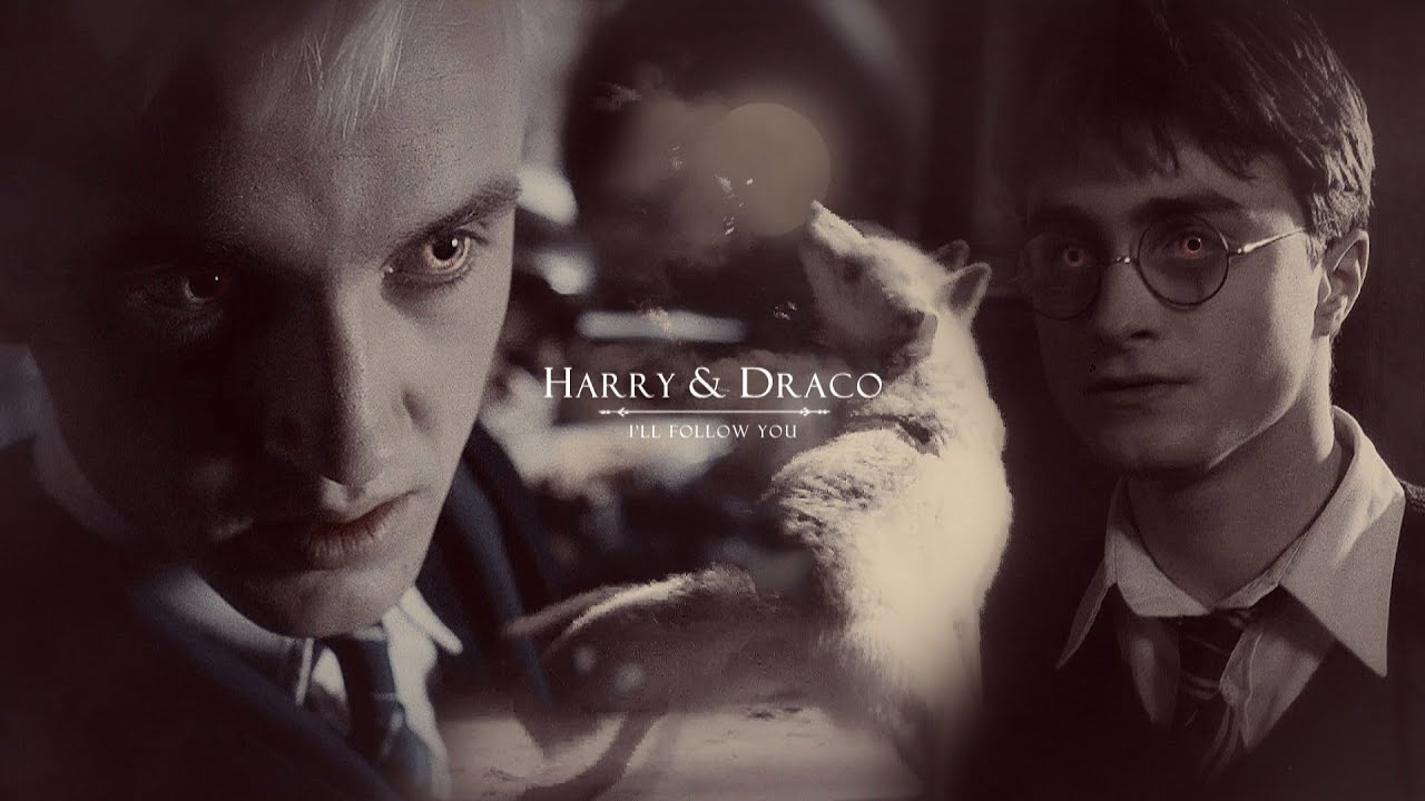 Harry Potter & Draco Malfoy [werewolf!au] || I'll follow you