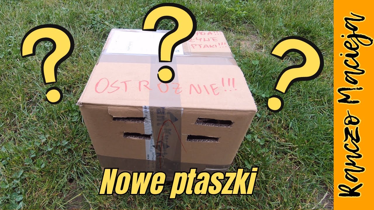 Nowe ptaszki na ranczu. Co tym razem? #266