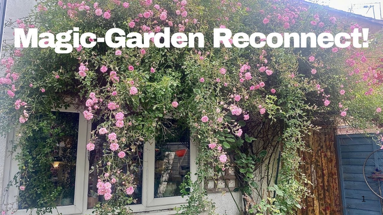 A Witch’s Garden: Beauty In Wild Chaos!