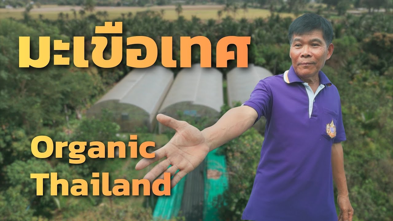 Organic Thailand สวนโชคสมบูรณ์ เกษตรอินทรีย์