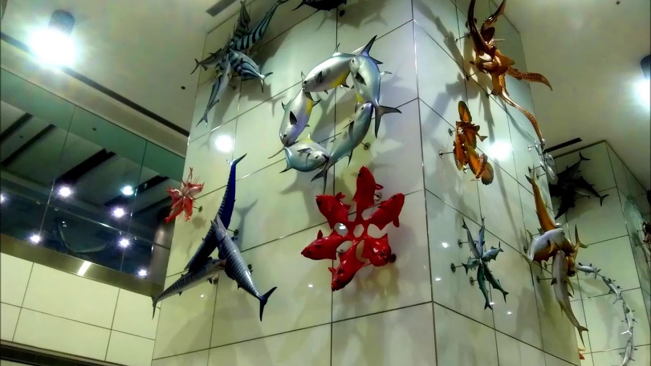 MIA fish sculpture display