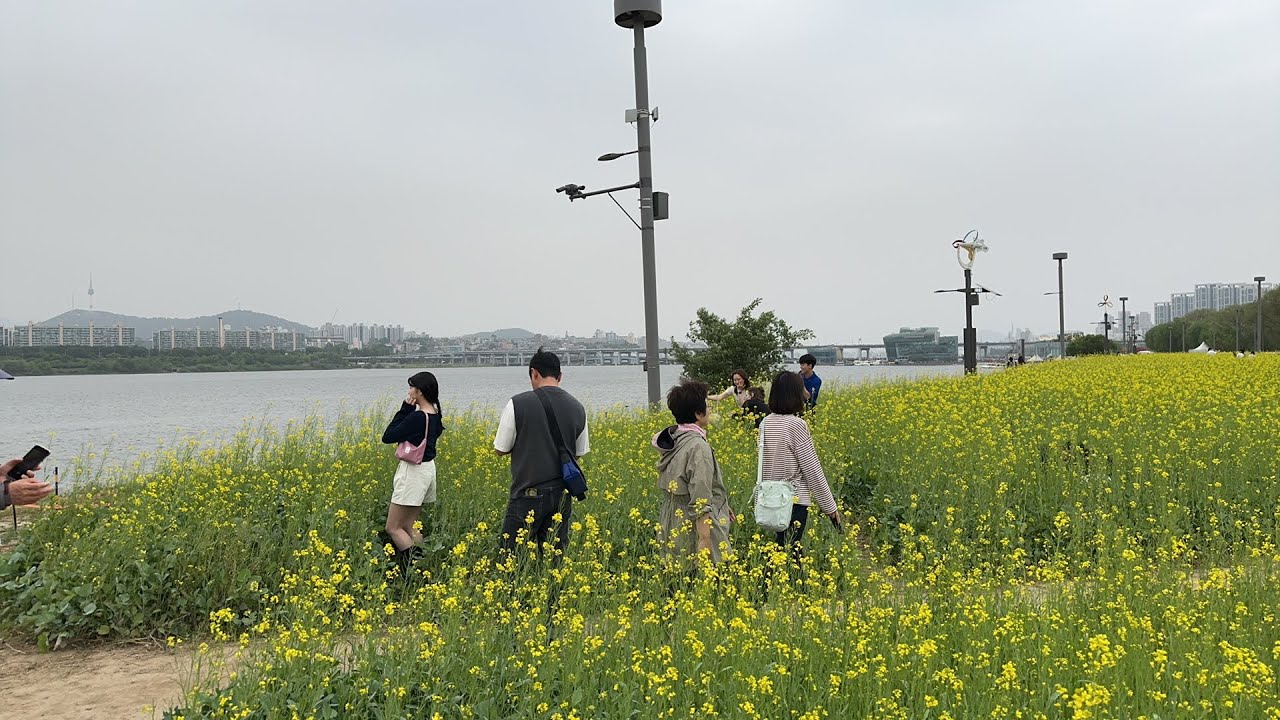 Weekend vibe at hangang