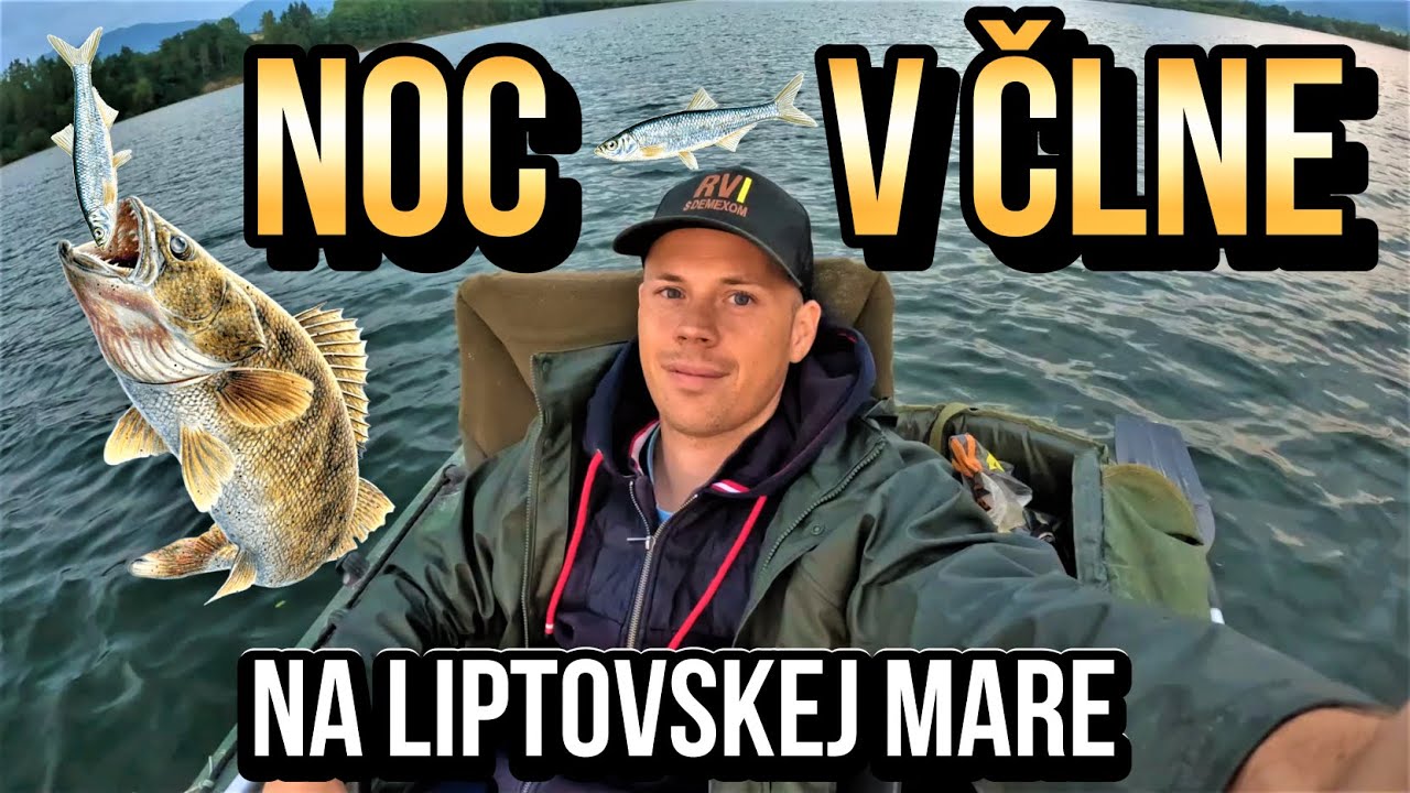 Lov na Živú Rybku a Peletu z Člna 🚣🐋 Lov Zubáča - Candáta Liptovská Mara 🎣 Chyť a Jedz!