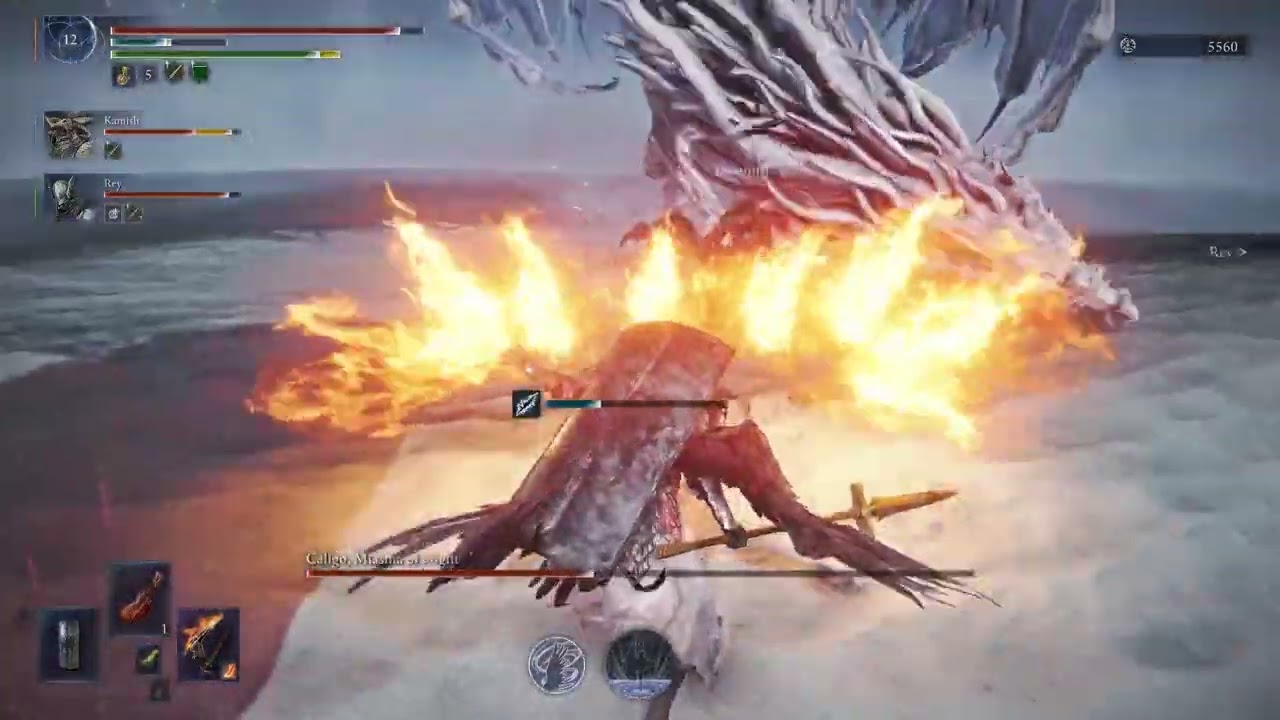 NIGHTREIGN PLAYERS ALWAYS PRAY THE BIRD AT THE END OF THE EXPEDITION