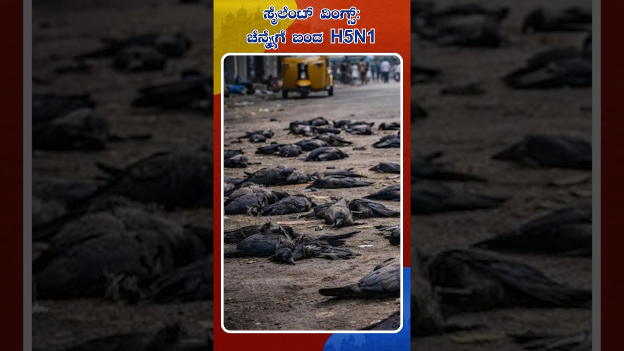 H5N1 Avian Influenza Confirmed After Hundreds of Crows Found Dead in Chennai | Idhu Sathya