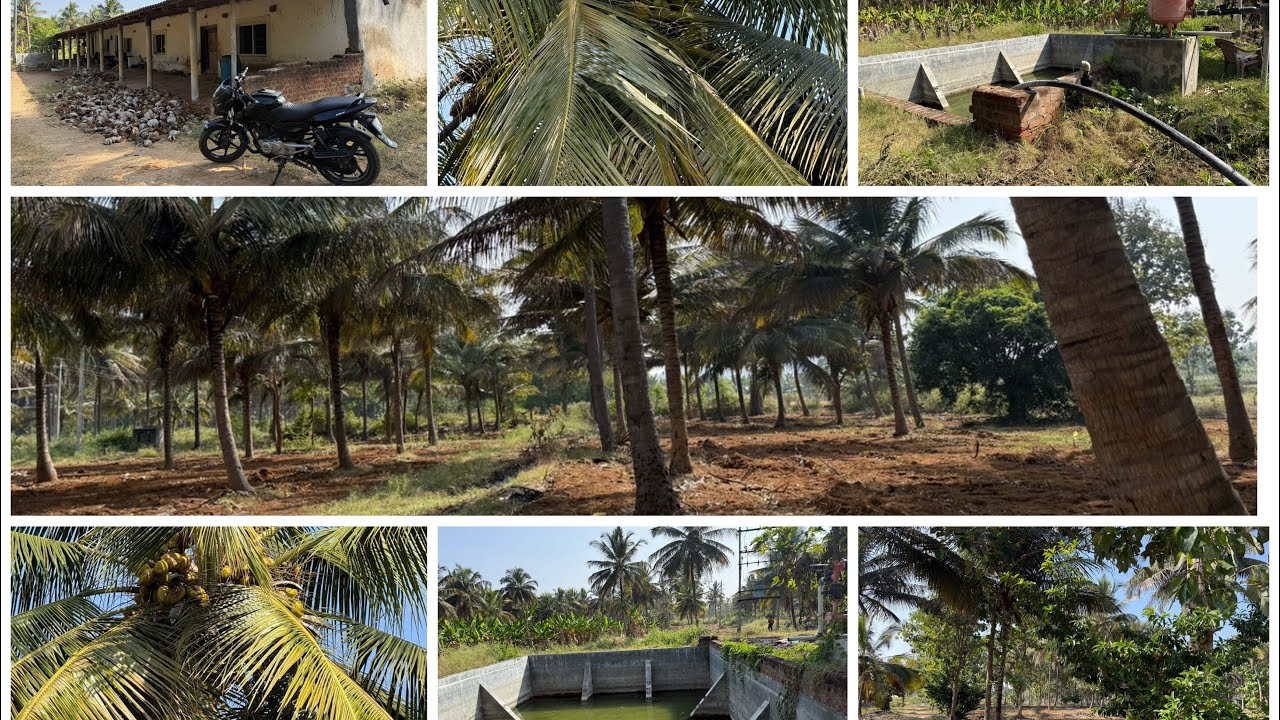 19.Acre + 2 Acre karaadu 1 Acre price 55 Laksha mysore...45 km call👉8197706071👉8147552201❤️