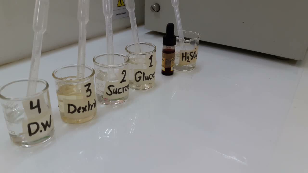 Molisch Test