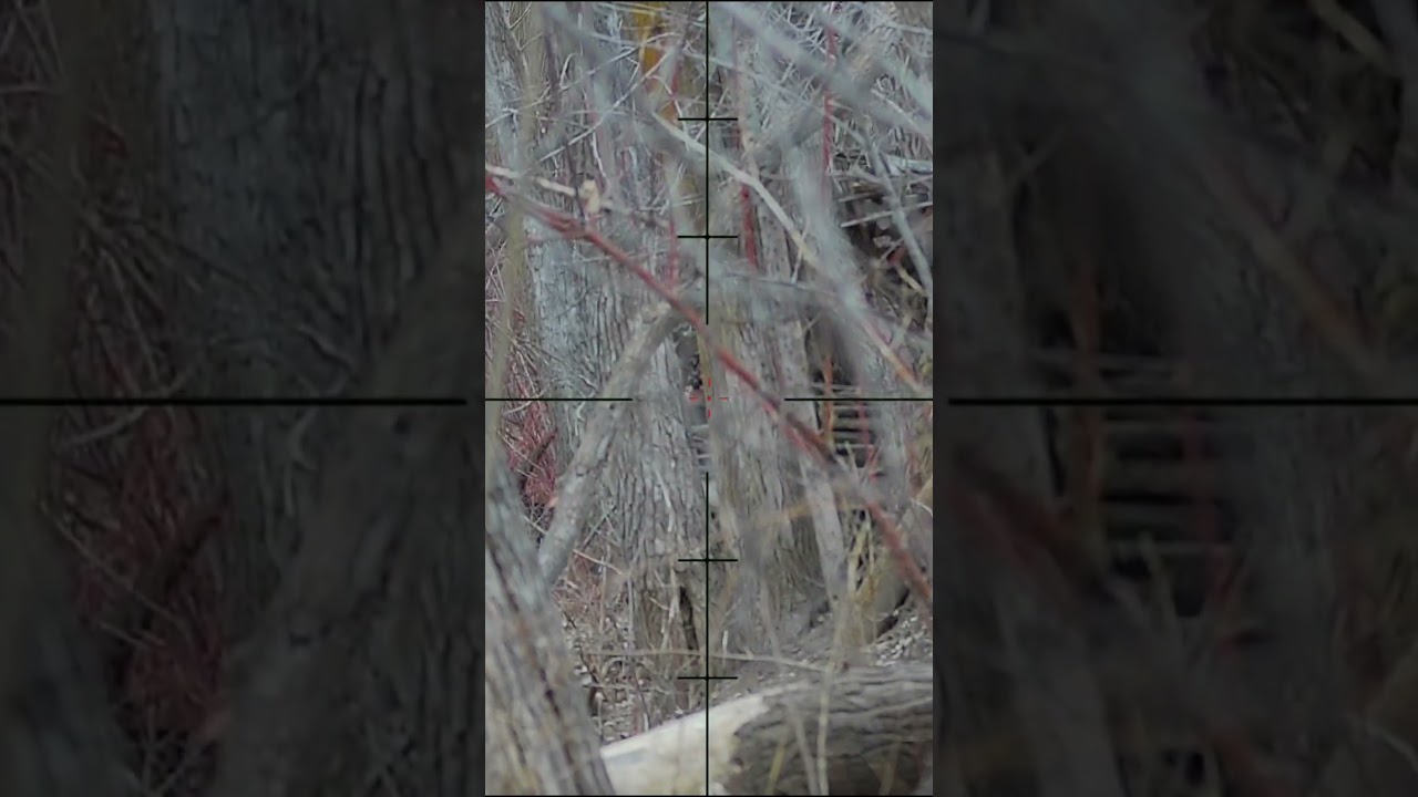 When You Miss By A Sliver 😬👉🎯Airsoft Sniper #SHORTS