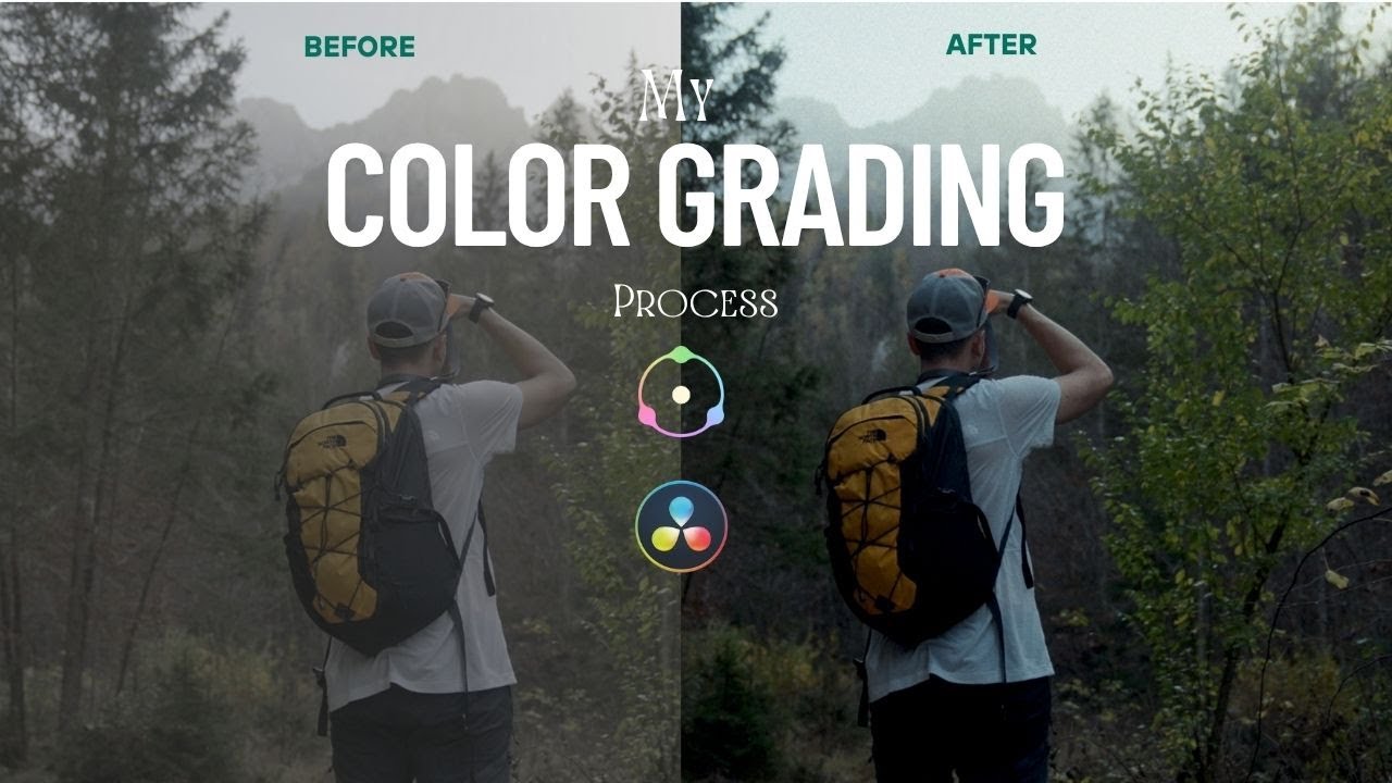 This Plugin Is My Secret Sauce for Filmic Look | Dehancer Pro + Davinci resolve
