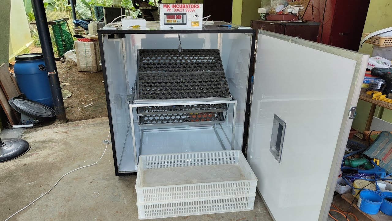 600 eggs fully automatic incubator #incubator #diyincubator  #incubator #bestqualityincubator