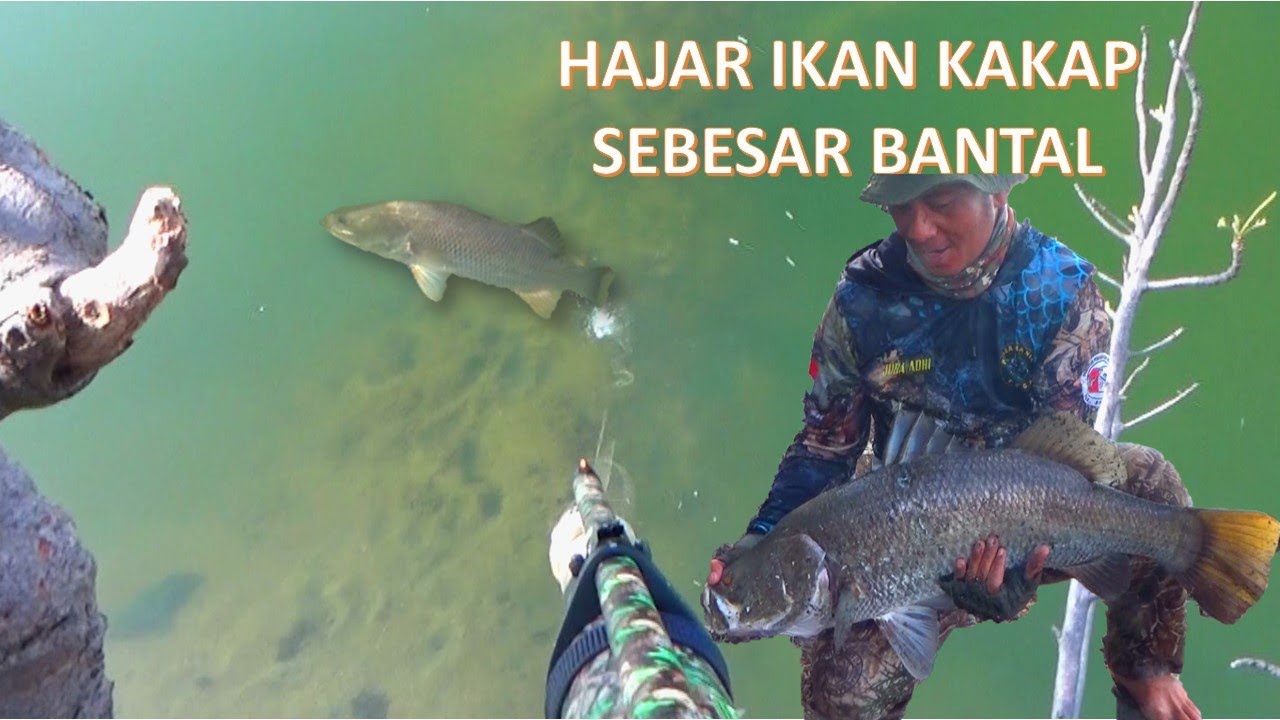 Ini Spot Ikan Kakap memang luar biasa...!!! Gak ada habisnya ikan kakapnya...!!! 