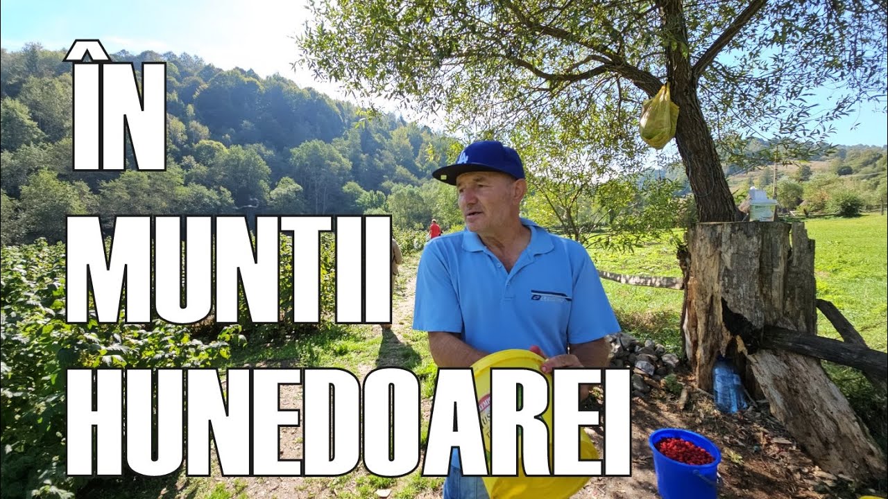 Satul Negoiu, un mic paradis din Munții Poiana Ruscă