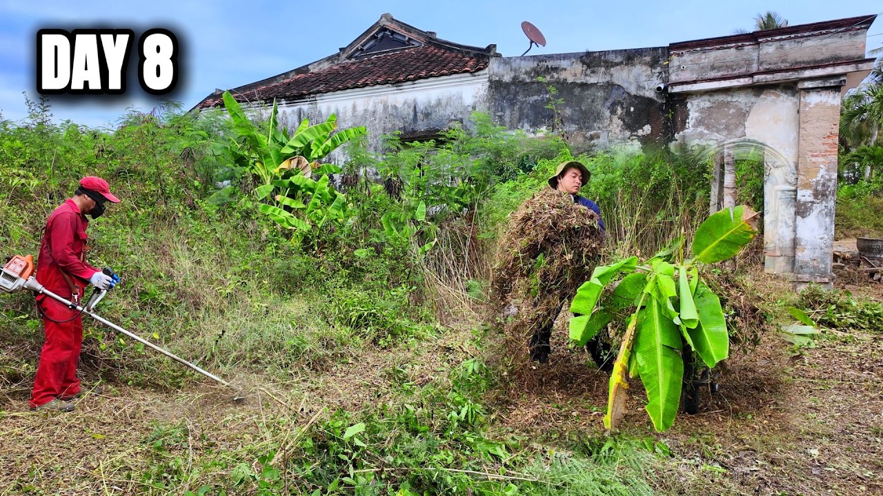 DAY 8 — Clearing a 120-Year-Old Abandoned French Colonial House (Part 02)