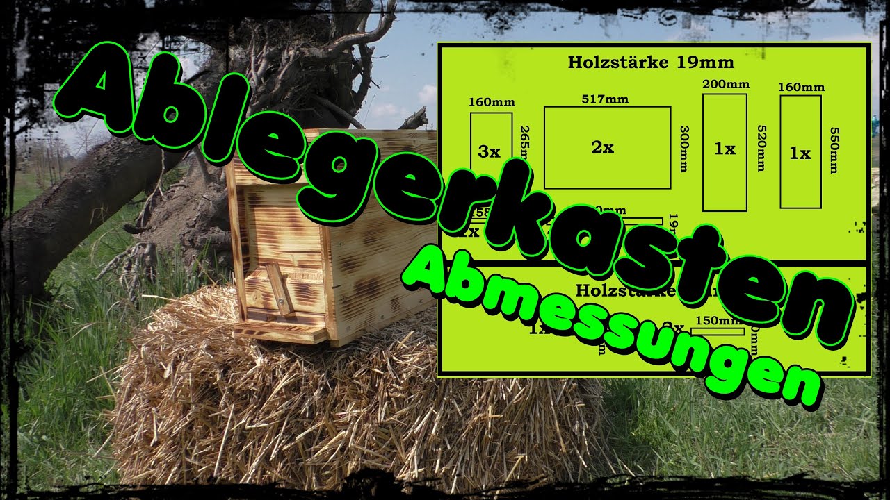 📏Ablegerkasten Abmessungen für ÖBW und Zander🐝