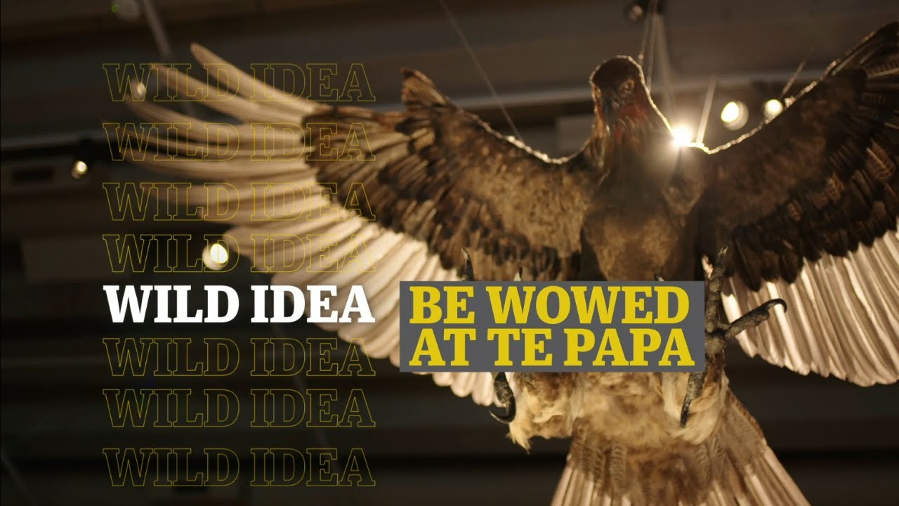 Wild Idea: Be Wowed at Te Papa