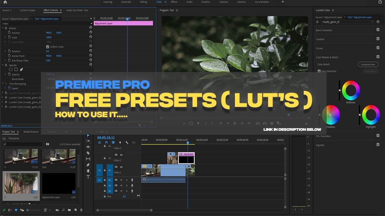 Premiere pro free presets and How use it | Premiere Pro Tutorial