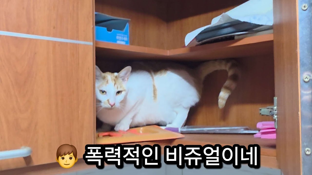 할머니집에서도 난리난 이비누