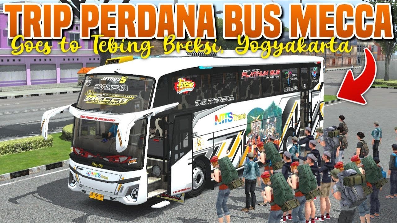 SERU‼️ Ngetrip Santuy Bus NTTS Trans 
