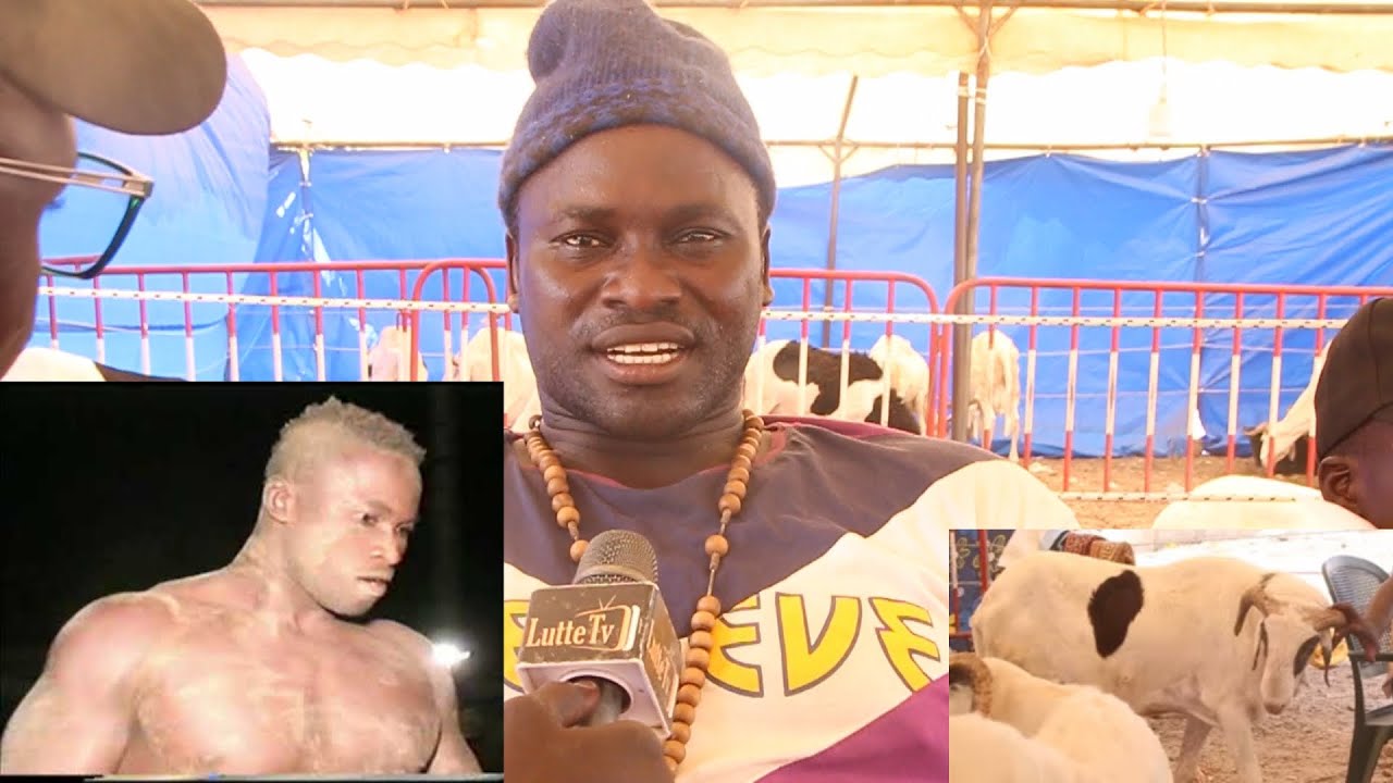 Regardez les moutons de Louis Thior qui fait des révélations sur sa carrière 