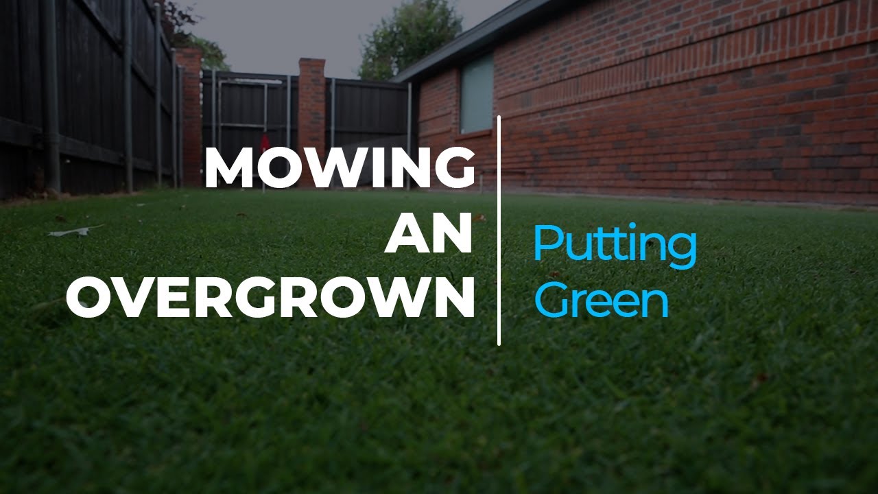 Mowing an Overgrown Putting Green
