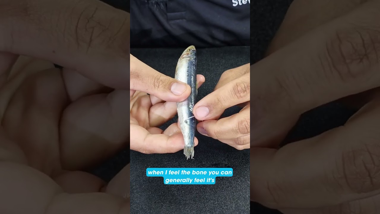 How to rig a pilchard with gang hooks