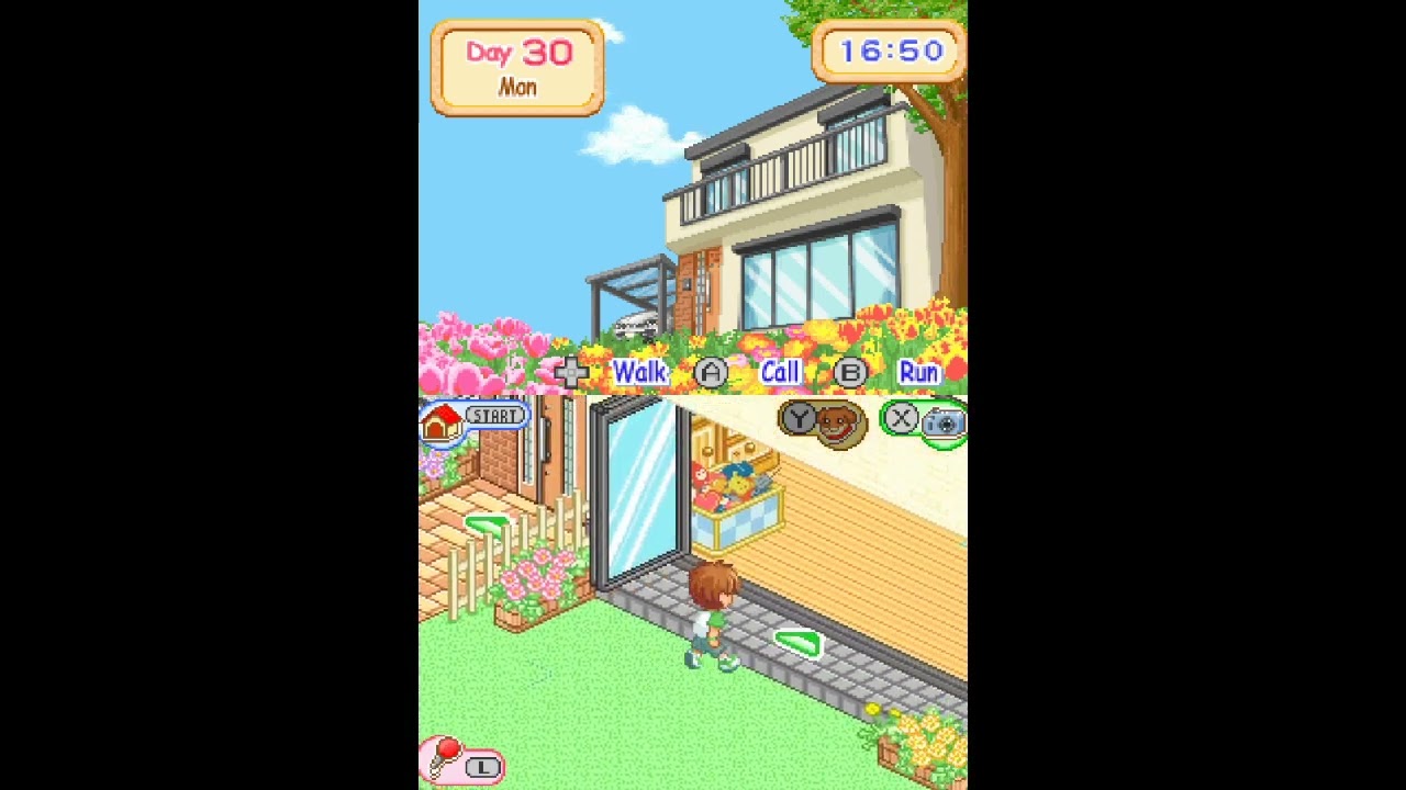 Dogz (Nintendo DS) [Finale]
