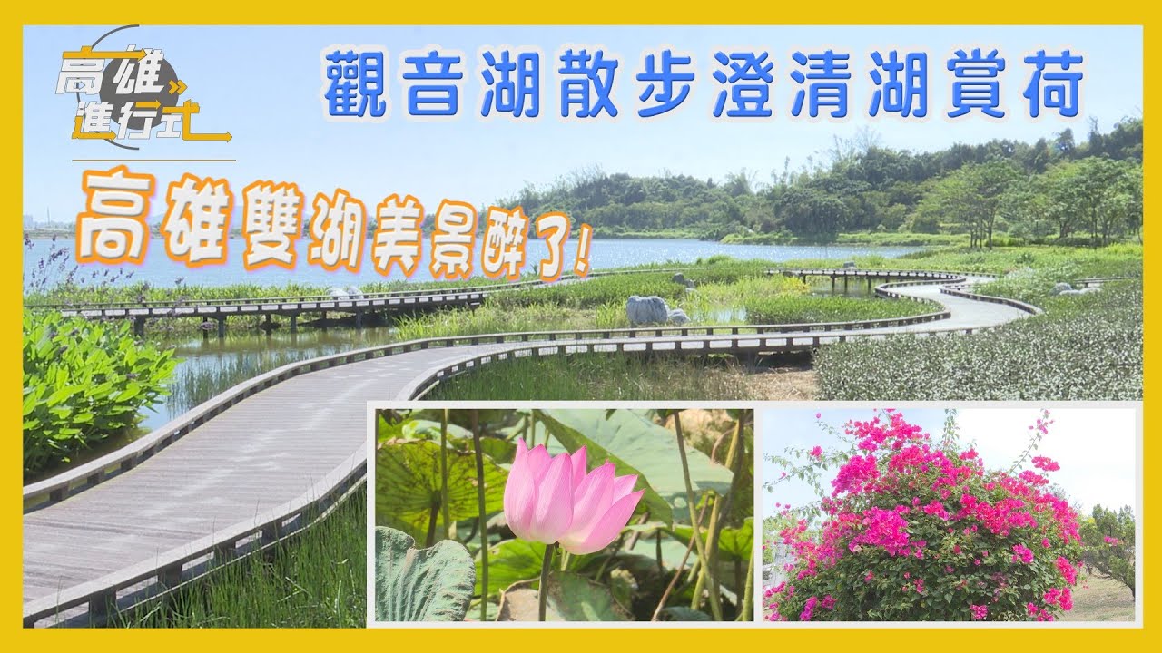 觀音湖散步澄清湖賞荷 高雄雙湖美景醉了 ◆高雄進行式2025