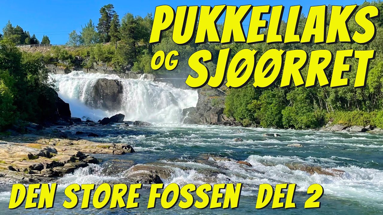 Pukkellaks og Sjøørret - Den store fossen - Fluefiske i Finnmark 2023 - Del 2