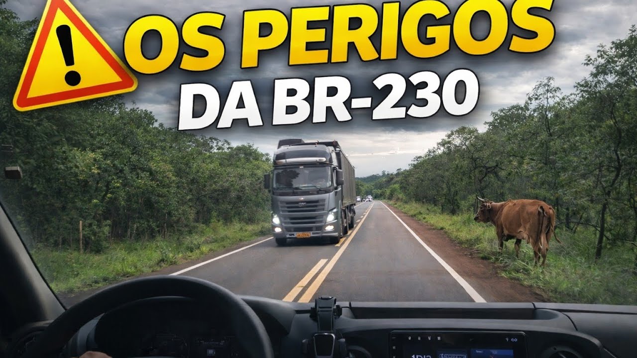 BR-230: Desafios e Perigos na Estrada .| Rota Utilitária