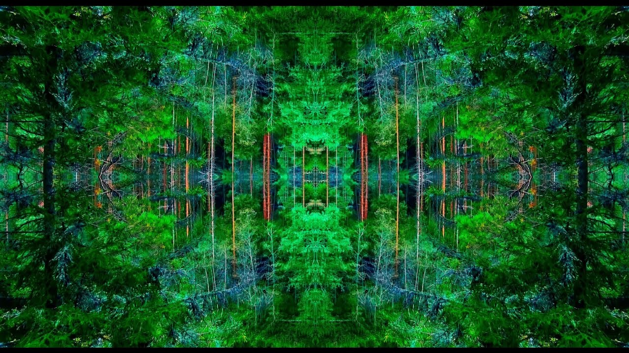 Mushroom Trip Experience (Trippy Video)
