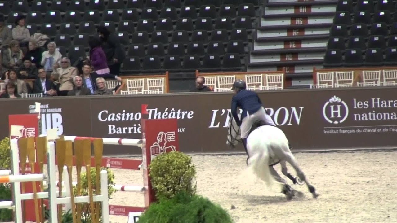 Commissario (webstallions.com)