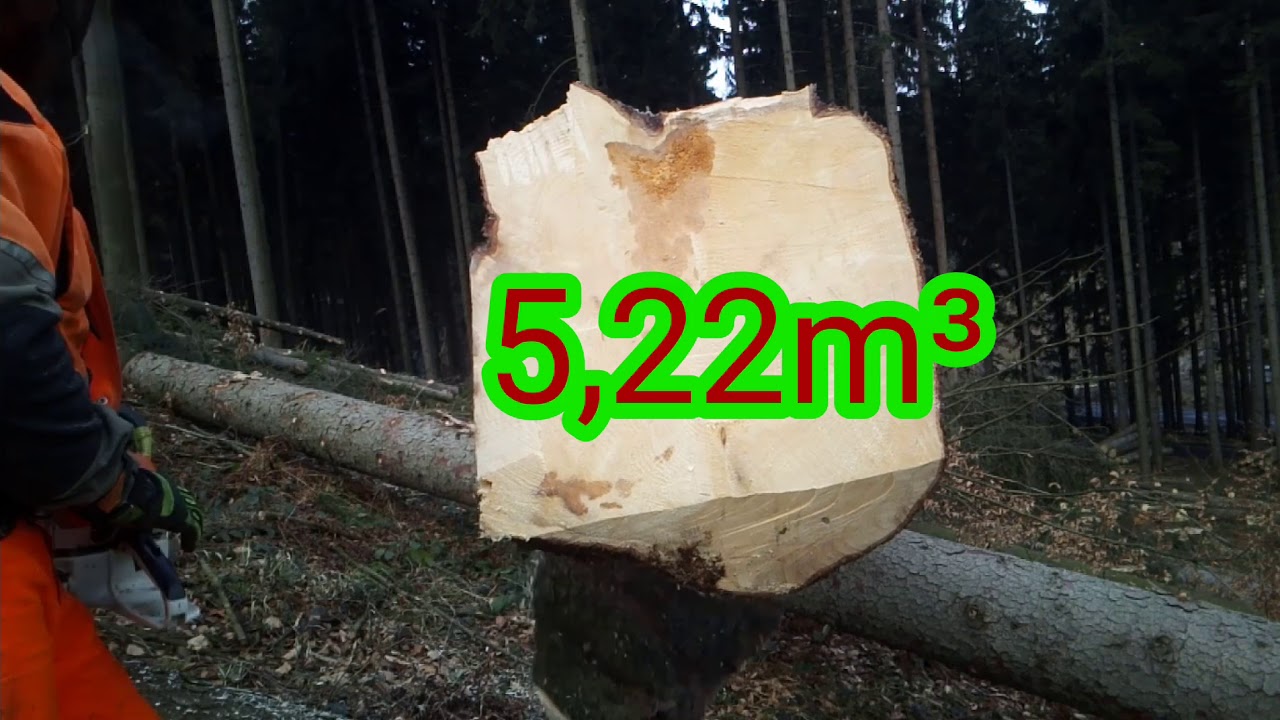 Work in forest, 317-2020, Im Wald arbeiten, Pr&aacute;ce v lese 🇨🇿