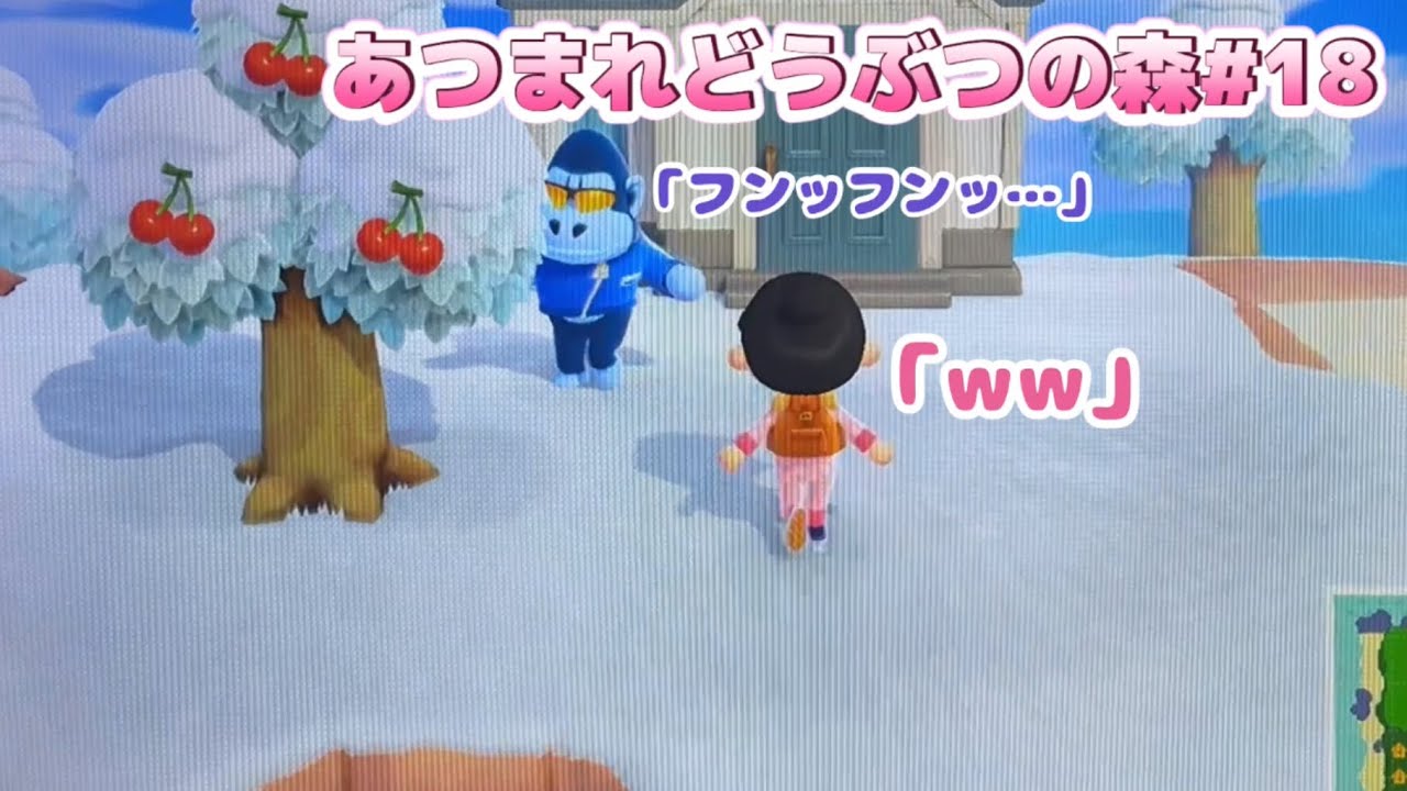 「実況」ダンベルさん、筋トレ中すか#18【あつまれどうぶつの森】