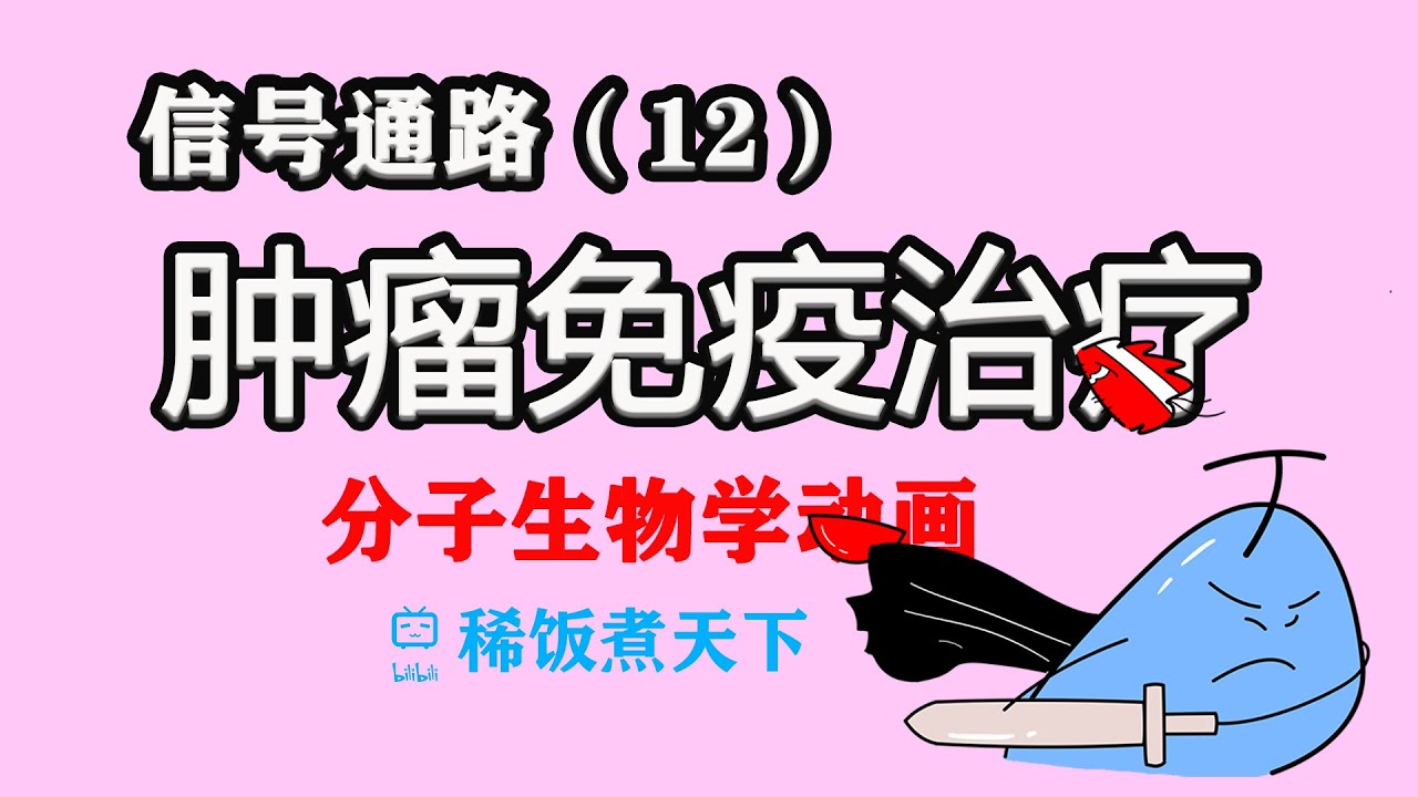 肿瘤的免疫治疗 PD1/PDL1【分子生物学动画】（12）