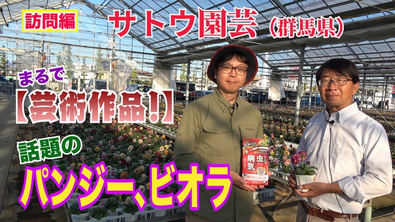 まるで芸術作品！話題のパンジー、ビオラ-サトウ園芸-～ガーデンドクターTV17 RM