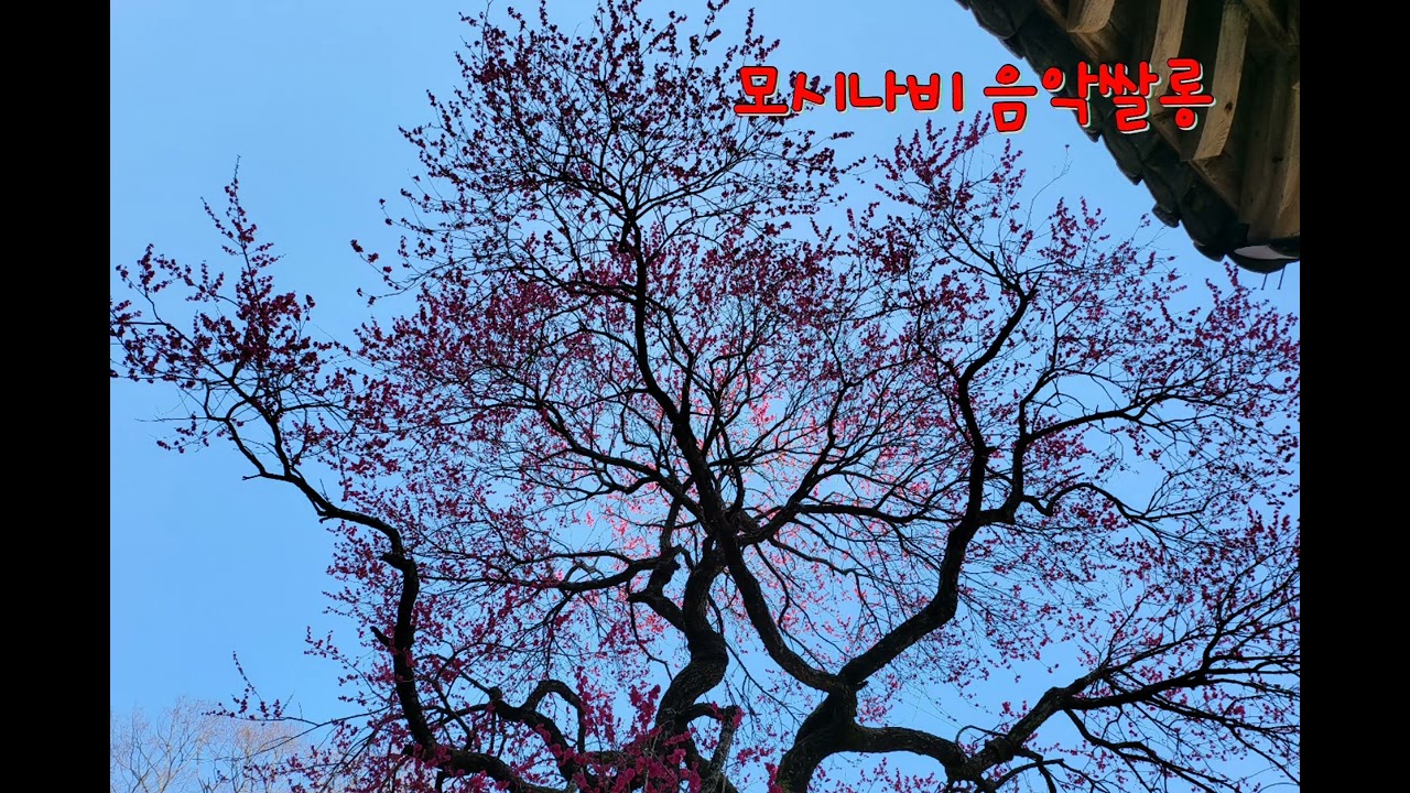 모시나비 음악쌀롱_02