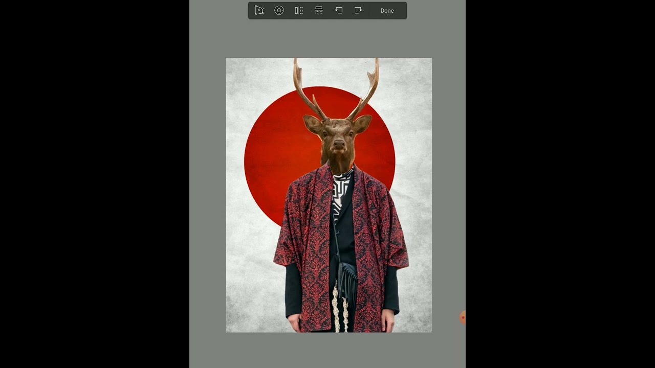 Japanese Deer