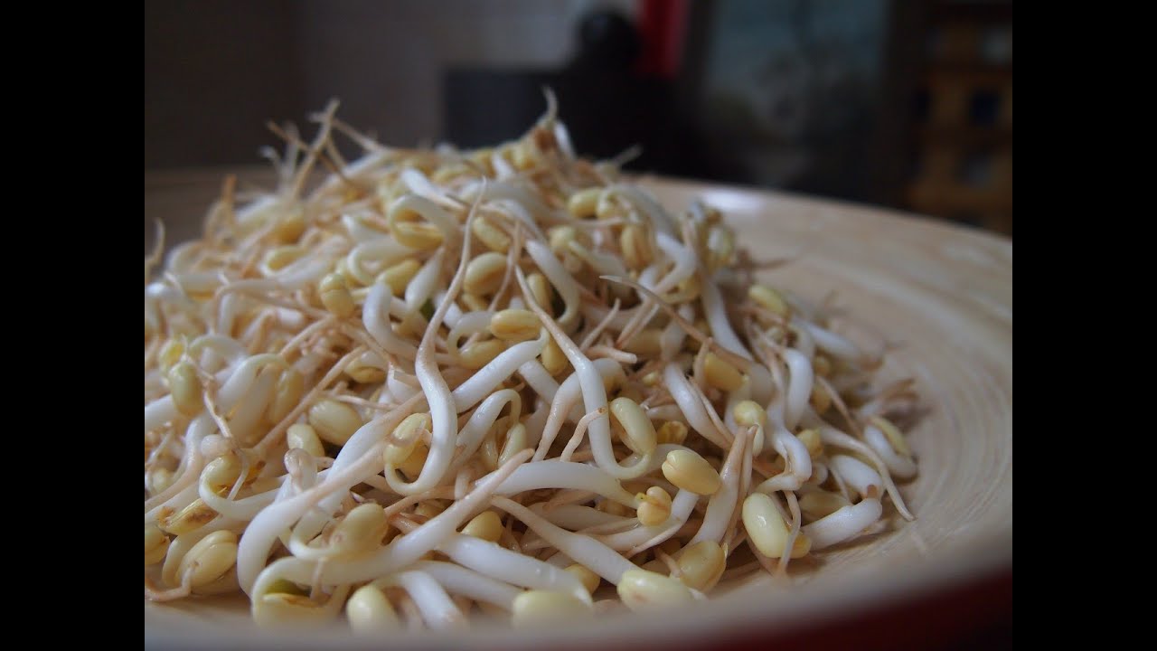 Традиционная корейская кухня: Как прорастить маш в домашних условиях.