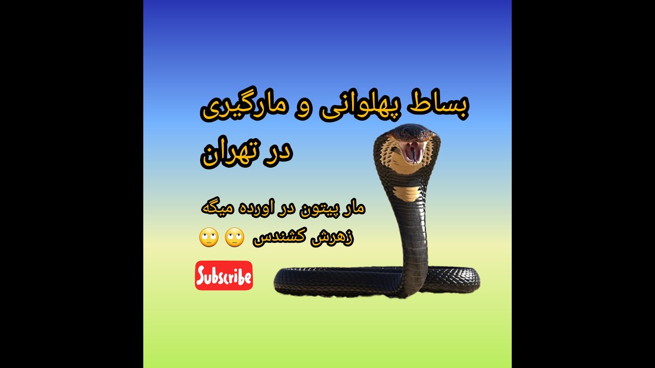 مارگیری و نمایش پهلوانی کف تهرون Snake hunting in Tehran तेहरान में साँप का शिकार