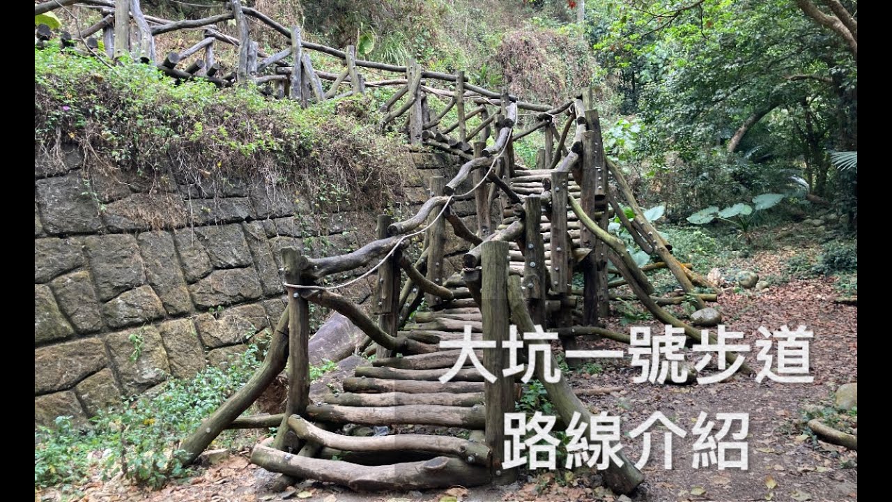 台中大坑步道｜一號路線完整實走介紹，新手友善又有挑戰性