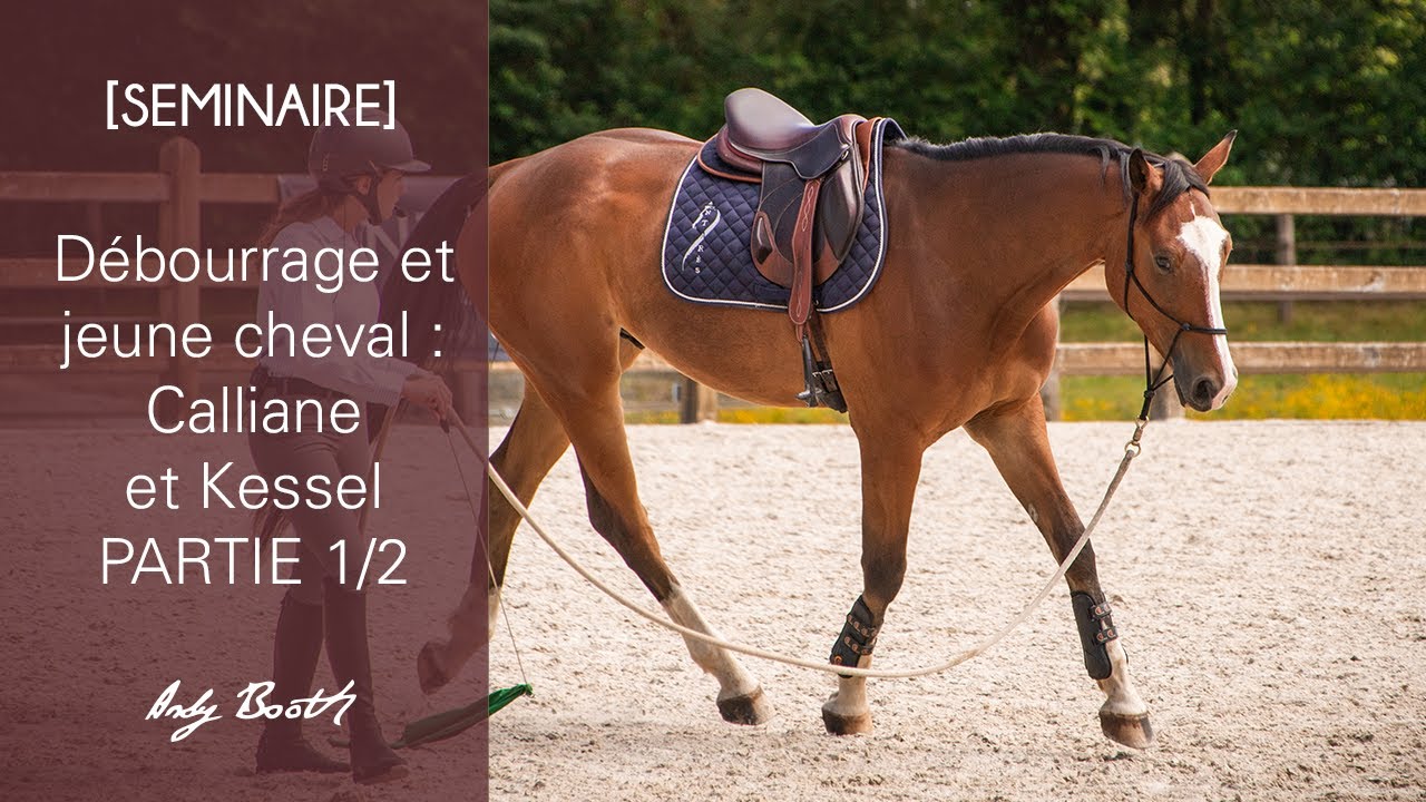 [SEMINAIRE] Débourrage et jeune cheval : Calliane et Kessel - PARTIE 1/2