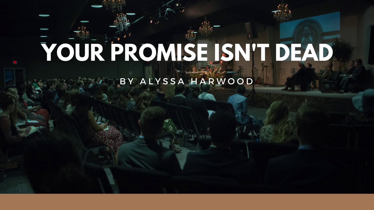 Your Promise Isn't Dead - Alyssa Harwood - Student Chapel