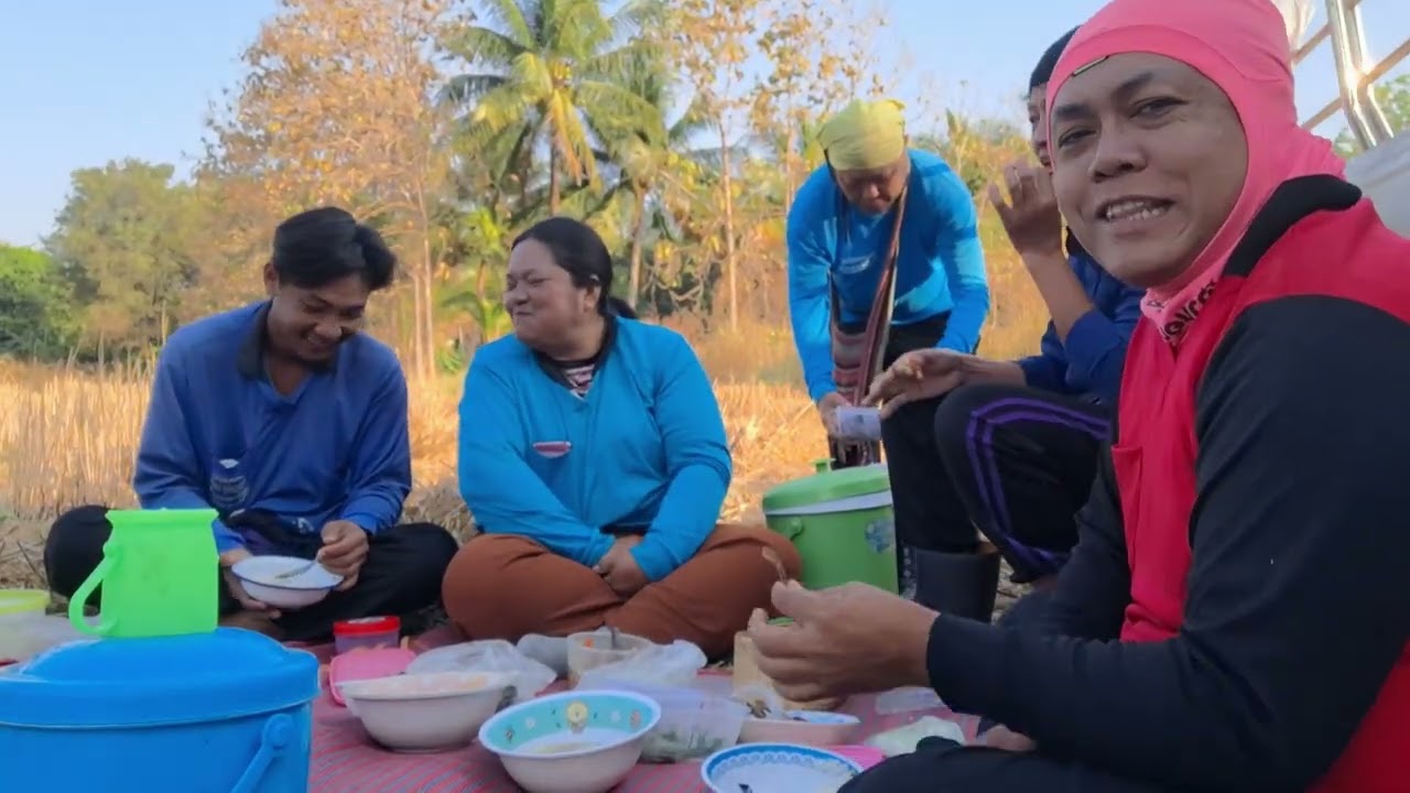 Ep.1165 วันนี้พี่โยพามาชมบรรยากาศการเดินทางไปตัดอ้อยและกินข้าวกลางป่าอ้อย