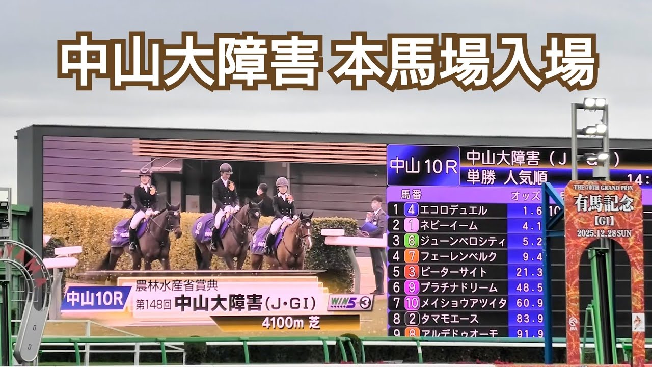 2025年 中山大障害 J・G1 本馬場入場 大関隼アナ実況