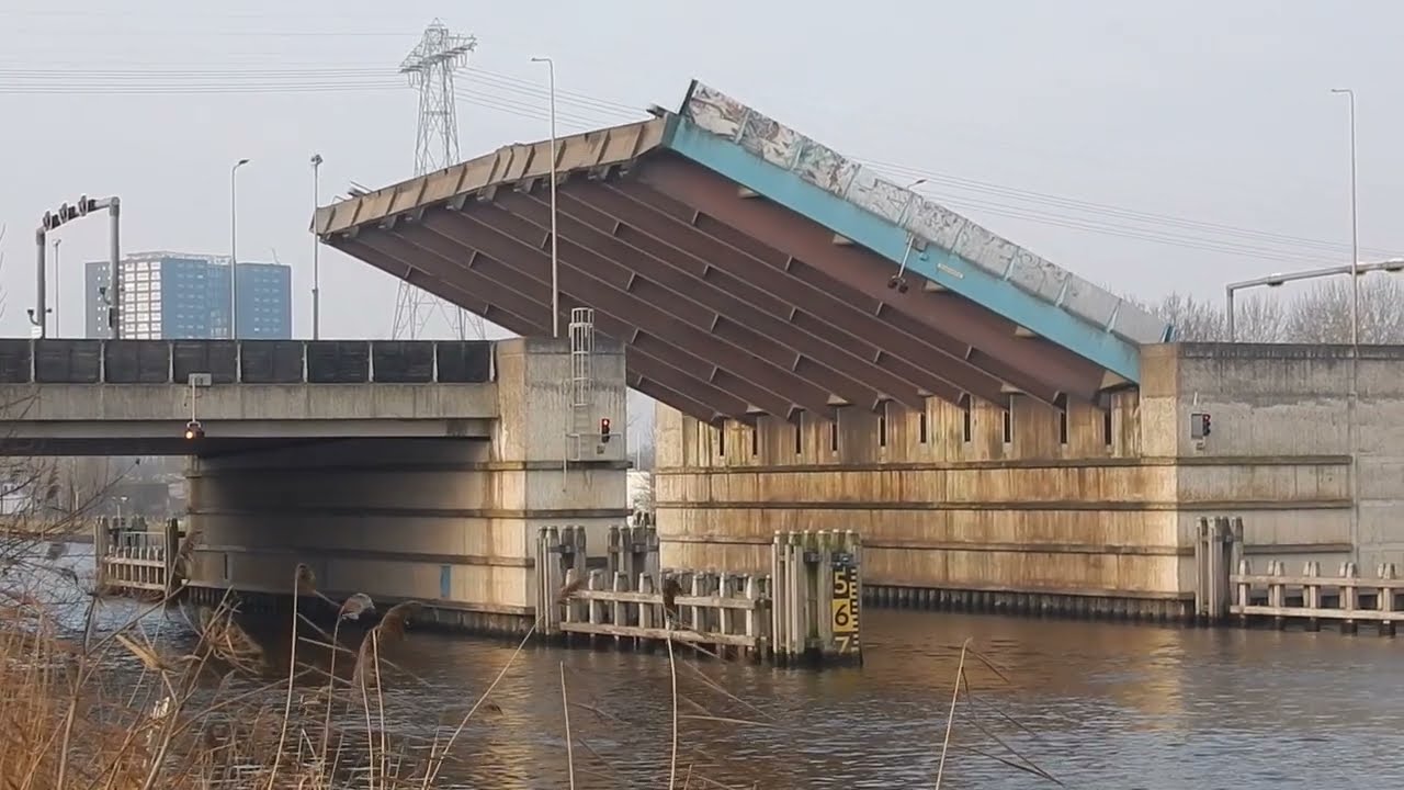 Dit Is Toch Écht Wel Een EUREKA-momentje, of Niet Dan?* - #3533NL