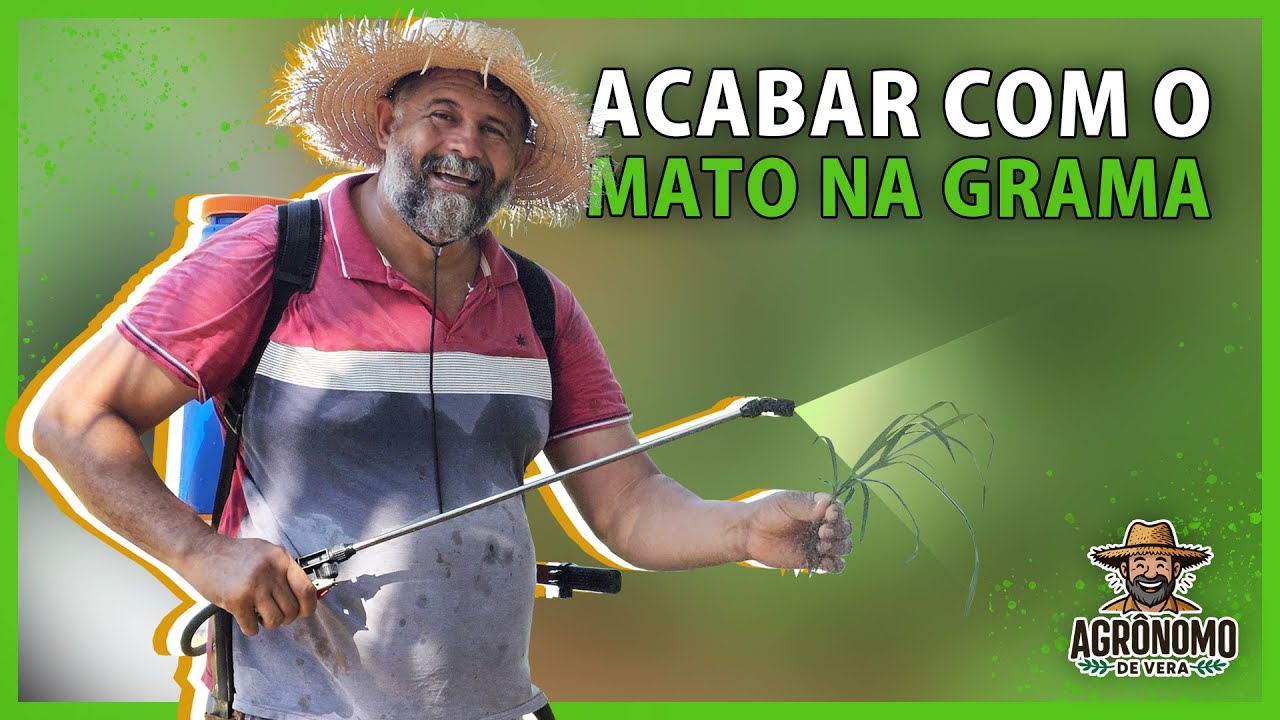 Como ELIMINAR o mato na GRAMA