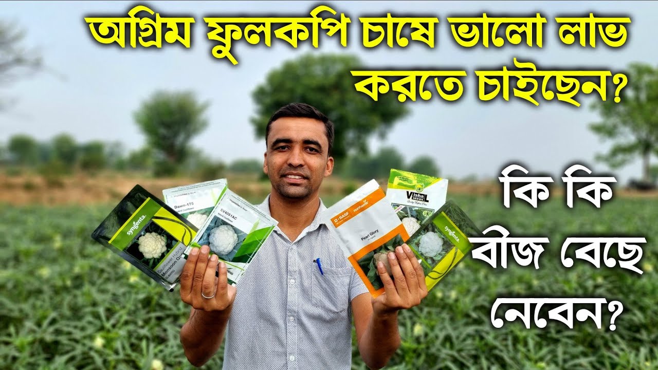 ভারত ও বাংলাদেশের কয়েকটি সেরা অগ্রিম ফুলকপির জাত!আগাম ফুলকপি চাষে ভালো লাভ পেতে কোন বীজ বেছে নেবেন?