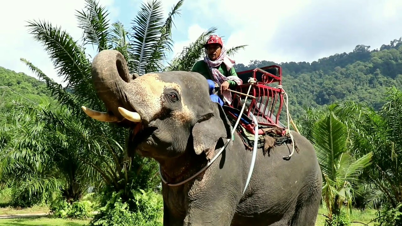 Phuket utflykter