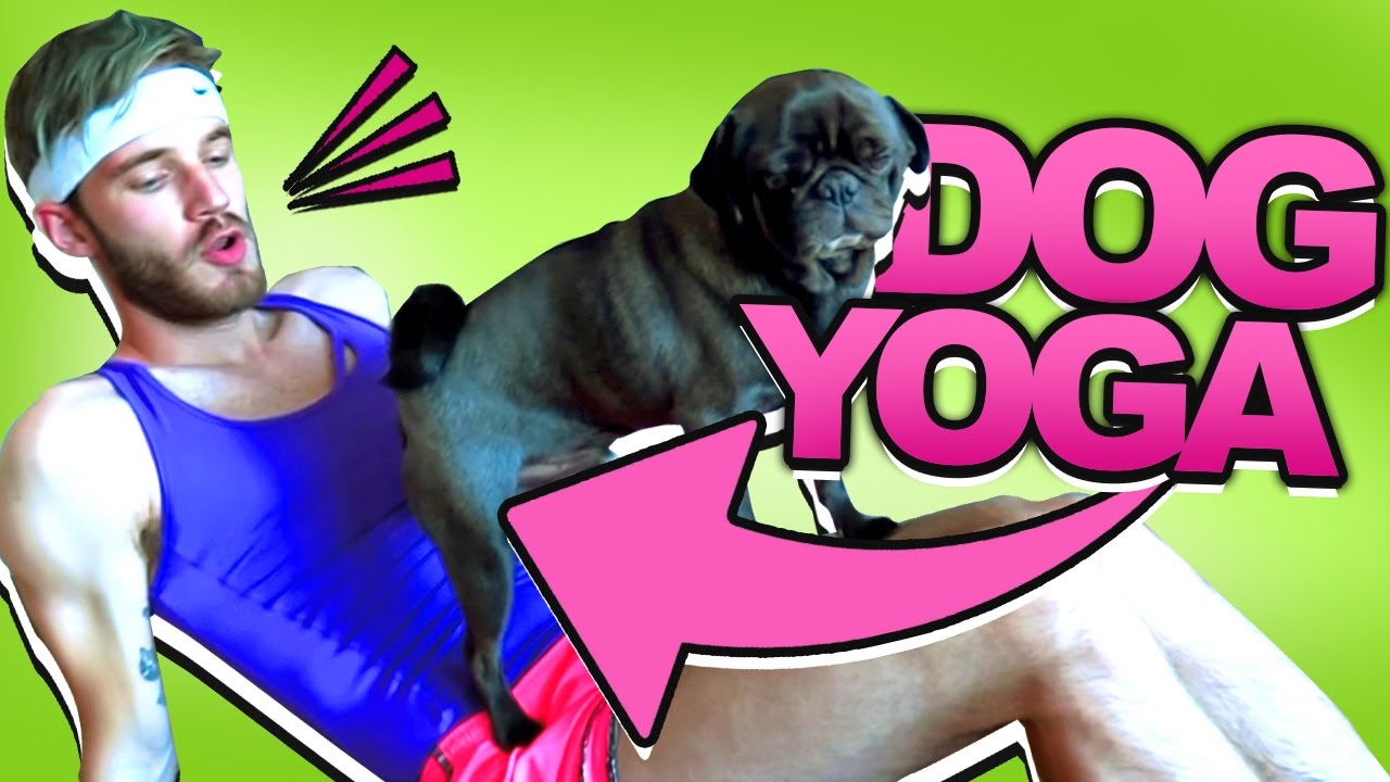 DOGA - DOG YOGA